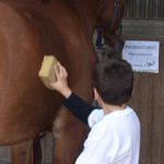 2010_Therapeutisches_Reiten_008-150x150