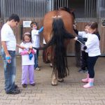 2010_Therapeutisches_Reiten_012-150x150